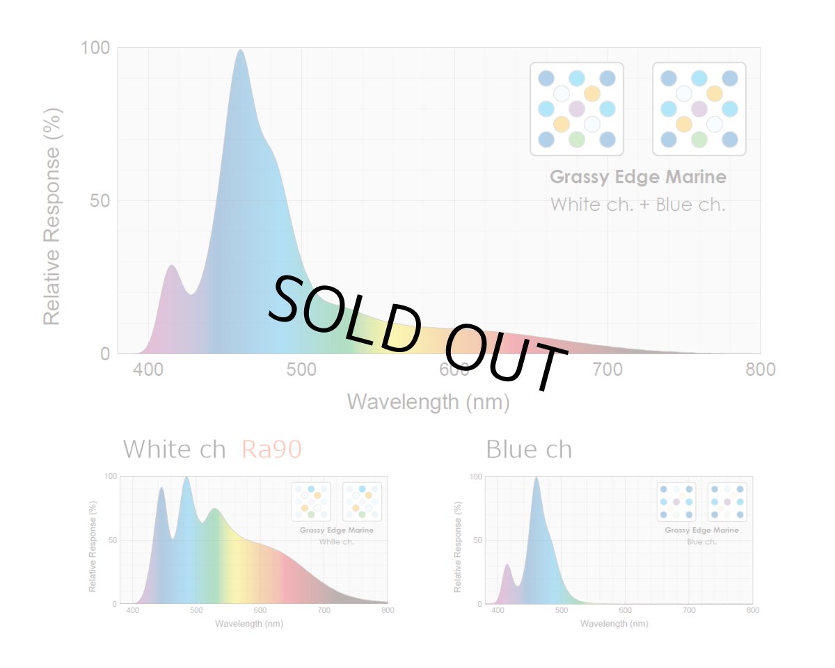 画像2: Edge262 MR(B)/マリン(黒) (2)