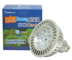 画像1: GrassyLeDioRX122C Deep /ディープ (1)