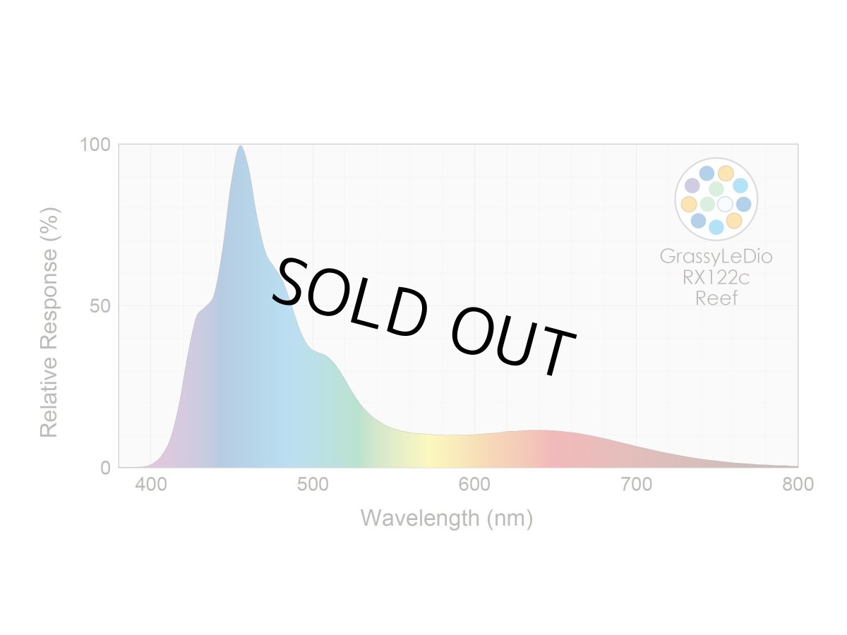画像2: GrassyLeDioRX122C Marine /マリン (2)