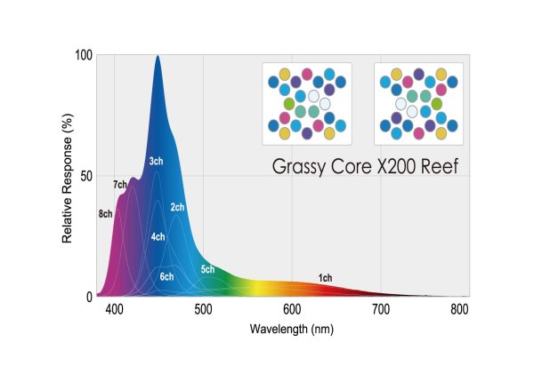 GrassyCore X200 /リーフ - ボルクスジャパン ダイレクト