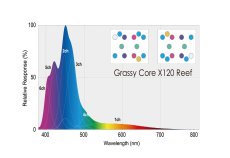 画像4: GrassyCore X120 /リーフ (4)