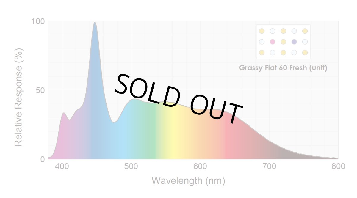 画像2: GrassyFlat 30 Fresh / 30フレッシュ (2)