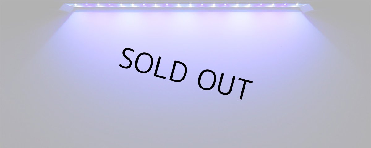 画像4: GrassyFlat 60 Marine / 60マリン (4)