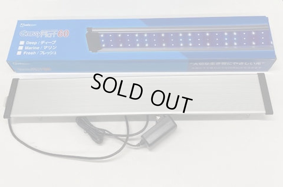 画像3: GrassyFlat 45 Deep / 45ディープ (3)