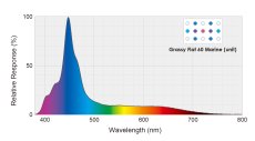 画像2: GrassyFlat 45 Deep / 45ディープ (2)