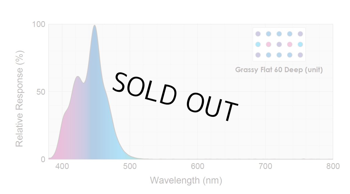画像2: GrassyFlat 60 Fresh / 60フレッシュ (2)