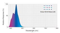 画像2: GrassyFlat 60 Deep / 60ディープ (2)