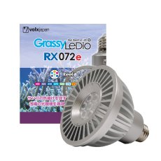 画像1: GrassyLeDio RX072e Reef (1)