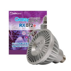 画像3: GrassyLeDio RX072e Violet (3)