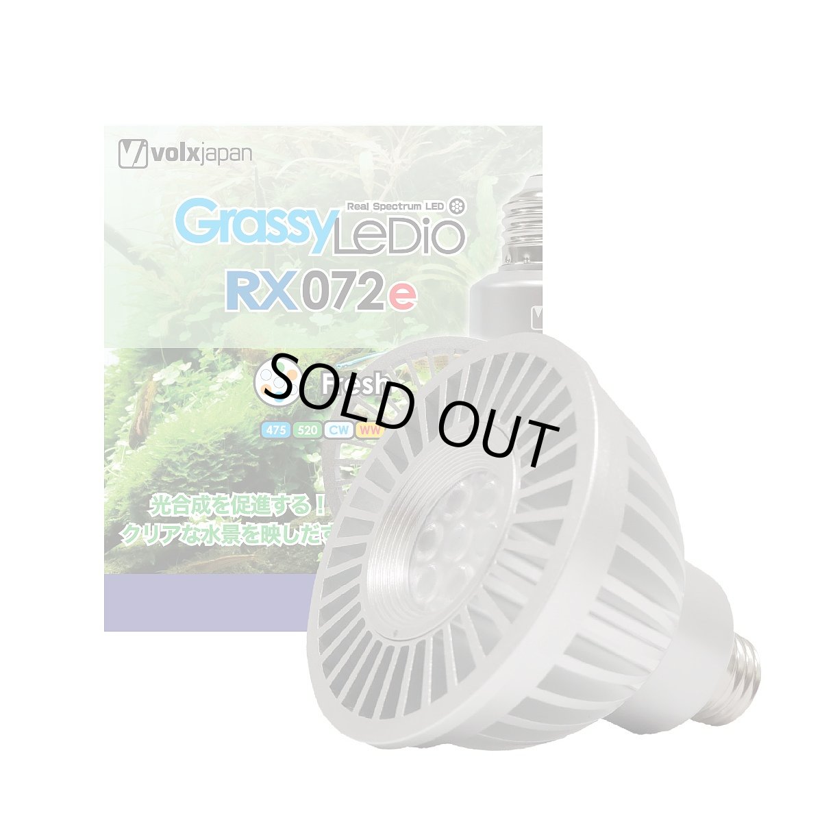 画像1: GrassyLeDio RX072e Fresh (1)