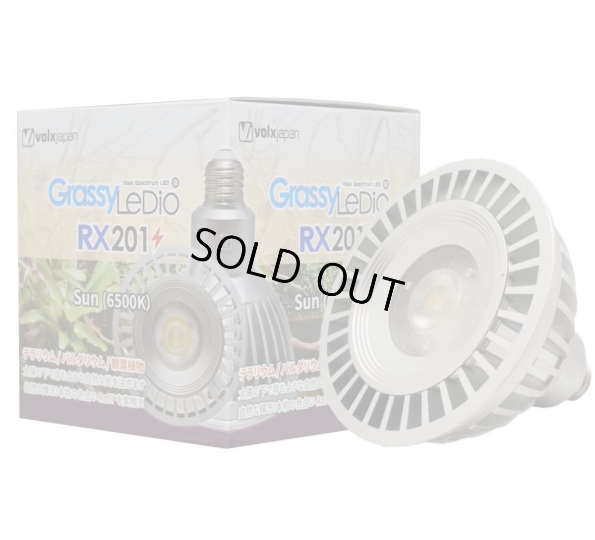画像1: GrassyLeDio RX201 Sun (1)