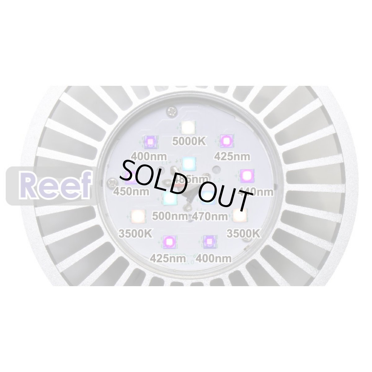 画像2: 数量限定BT付きセット GrassyLeDioRX121s Reef/Silver (2)