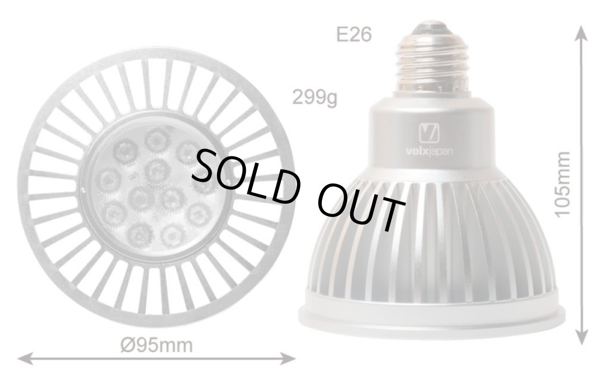 画像3: 数量限定BT付きセット GrassyLeDioRX121s Reef/Silver (3)