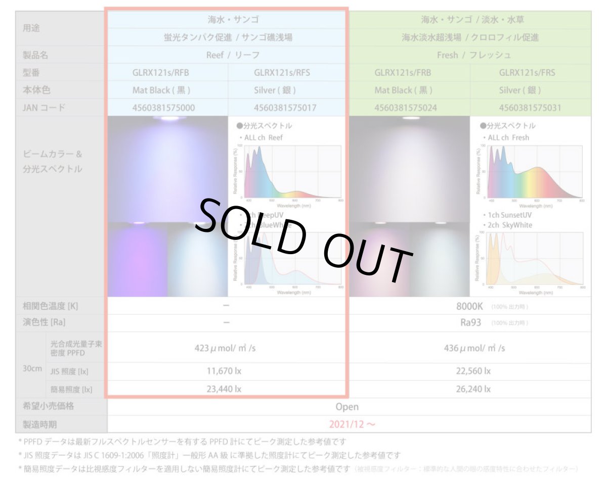 画像4: 数量限定BT付きセット GrassyLeDioRX121s Reef/Silver (4)