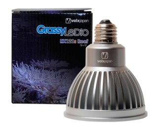 B26ボルクスジャパン GrassyLeDio RS122 E26と他ライト2つ B26ボルクスジャパン GrassyLeDio RS122 E26と他ライト2つ B26ボルクス