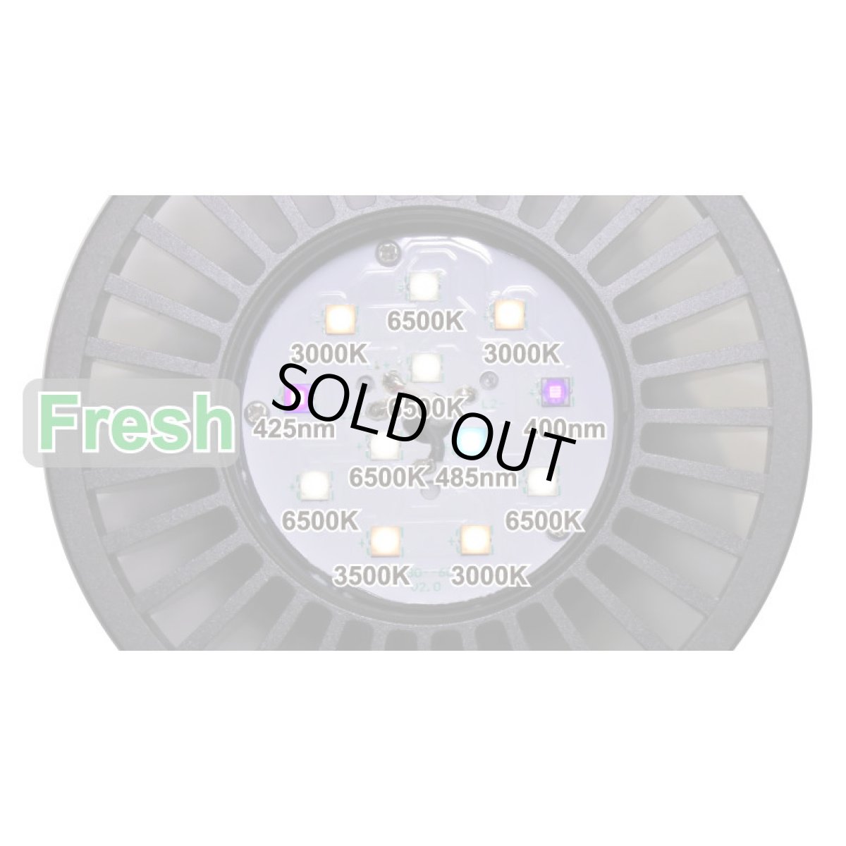 画像2: 数量限定BT付きセット GrassyLeDioRX121s Fresh/Silver (2)