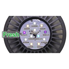 画像2: GrassyLeDioRX121s Fresh/Black (2)