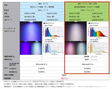 画像4: 数量限定BT付きセット GrassyLeDioRX121s Fresh/Silver (4)