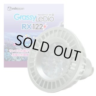 ボルクスジャパン　グラッシーレディオRX122リーフ ボルクスジャパン グラッシーレディオ RX122s リーフ シルバー