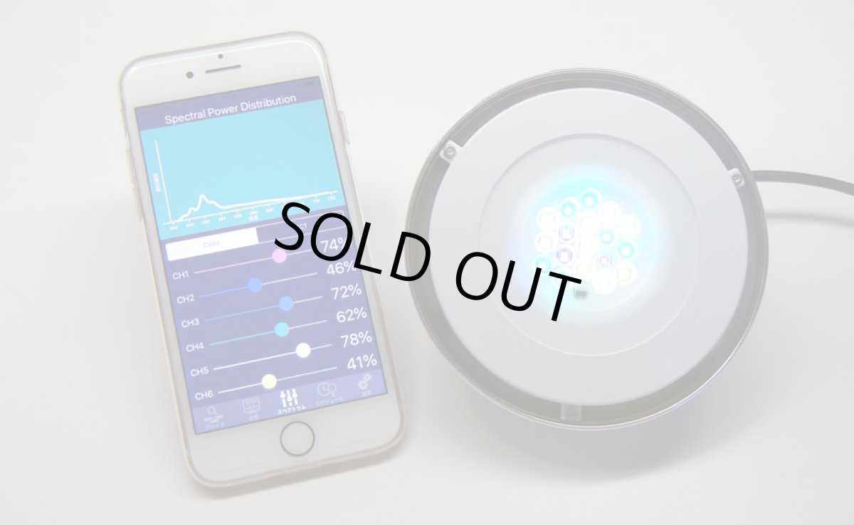 画像5: GrassySolar Fresh / フレッシュ (5)