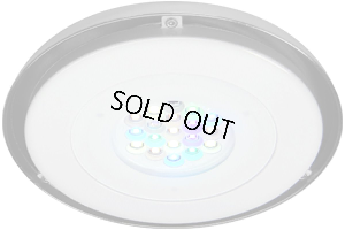 画像4: GrassySolar Fresh / フレッシュ (4)