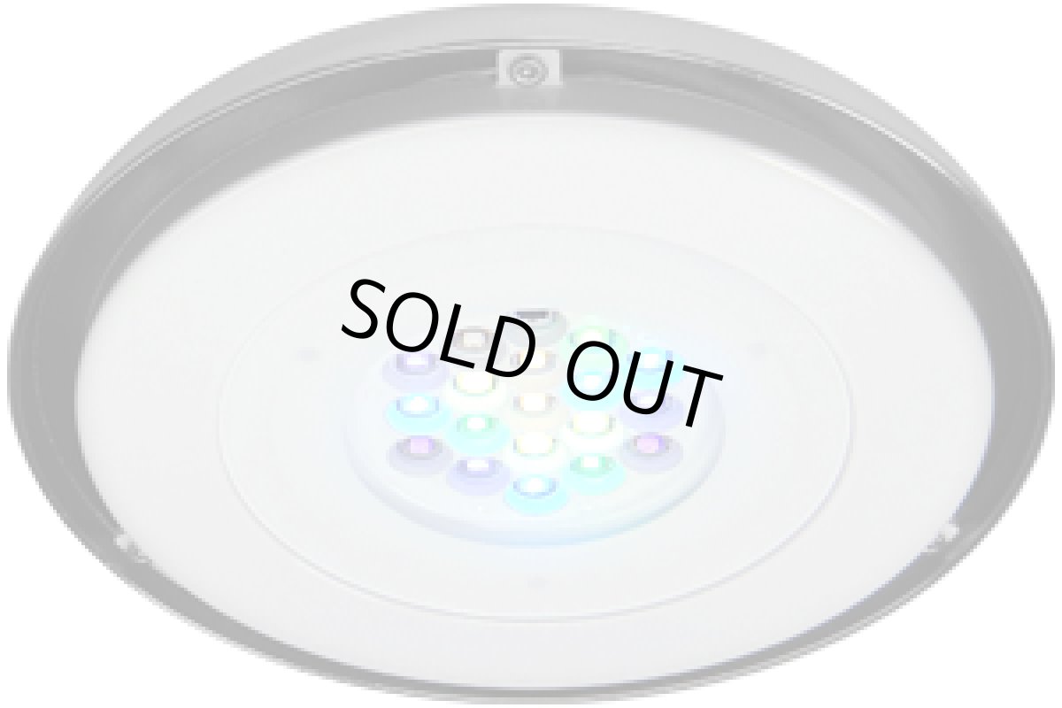 画像4: GrassySolar Reef / リーフ (4)