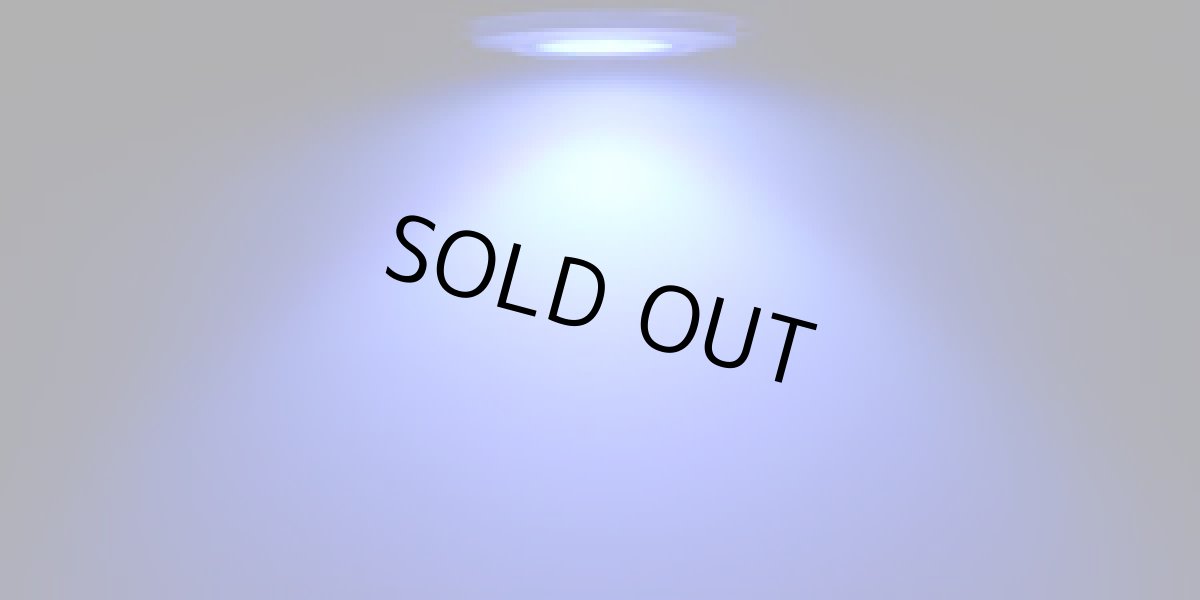 画像3: GrassySolar Reef / リーフ (3)