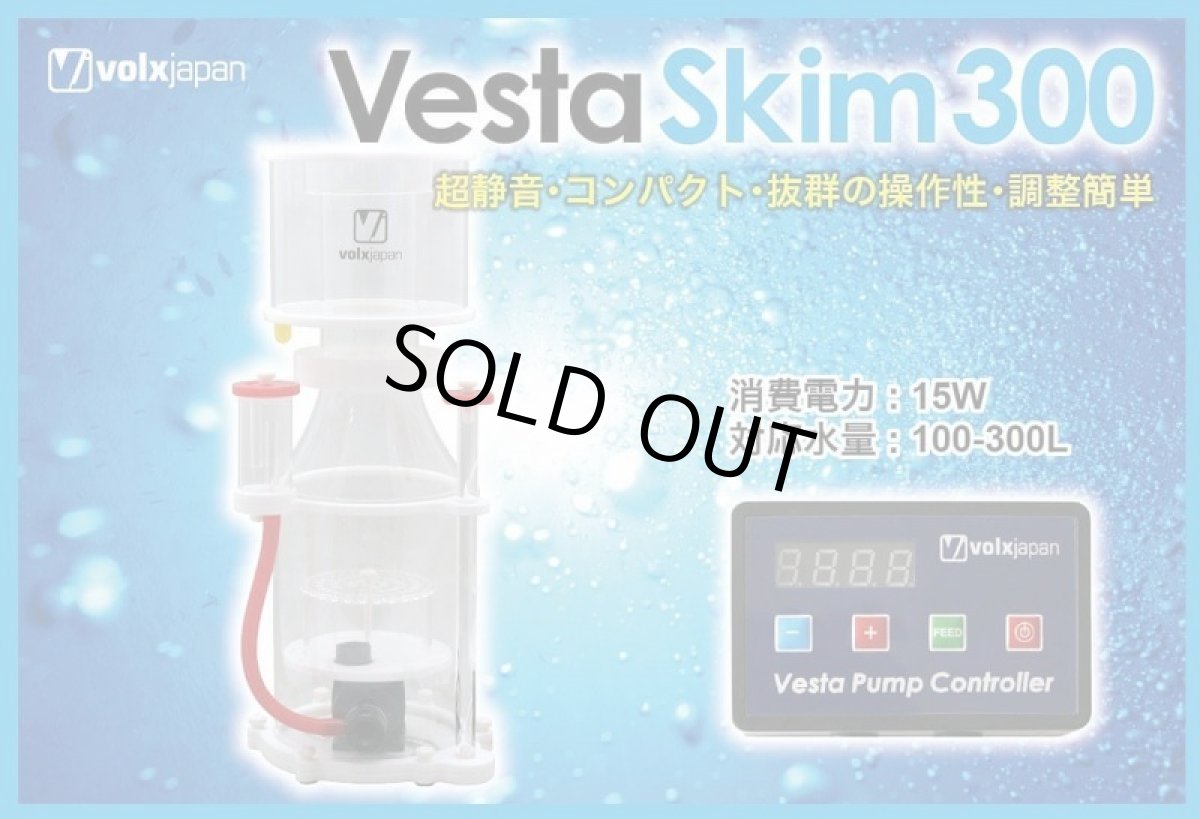 画像1: Vesta Skim 300 (1)