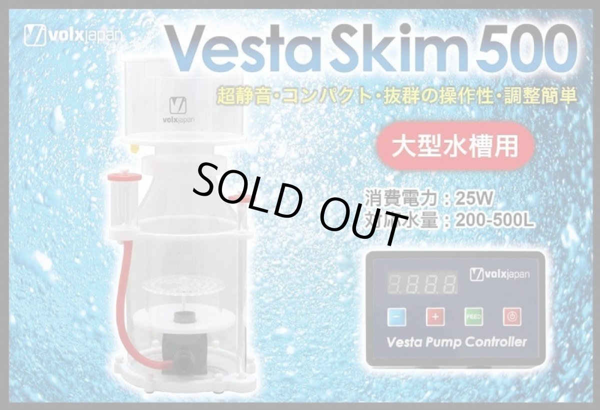 画像1: Vesta Skim 500 (1)