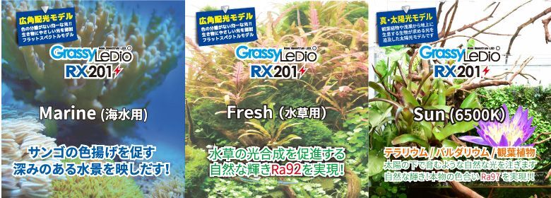 RX201 - ボルクスジャパン ダイレクト
