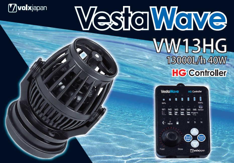 Vesta Wave VW13HG