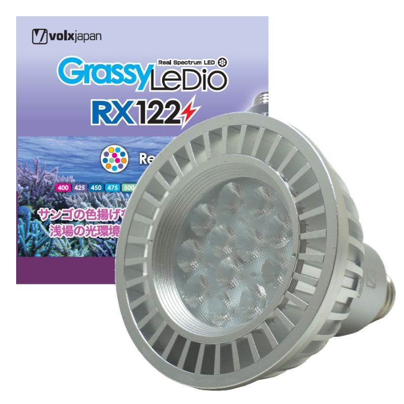 GrassyLeDio RX122 Reef